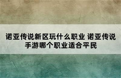 诺亚传说新区玩什么职业 诺亚传说手游哪个职业适合平民